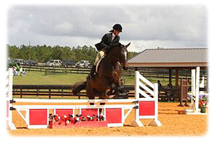 Photo of horse and rider